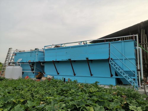 揭阳新建屠宰场一站式解决方案 专业环评与环保设备工程同步推进